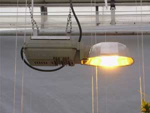 son-t-600W
